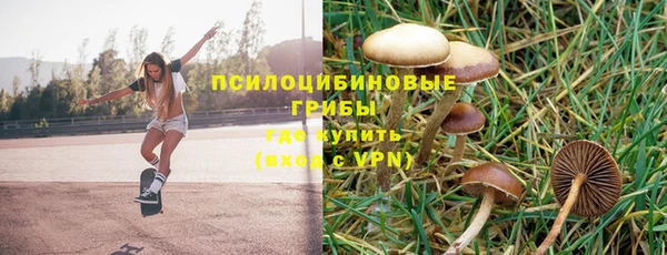 таблы Приозерск