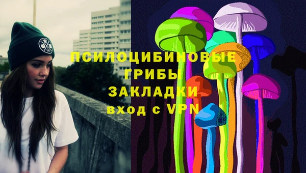 метадон Покачи